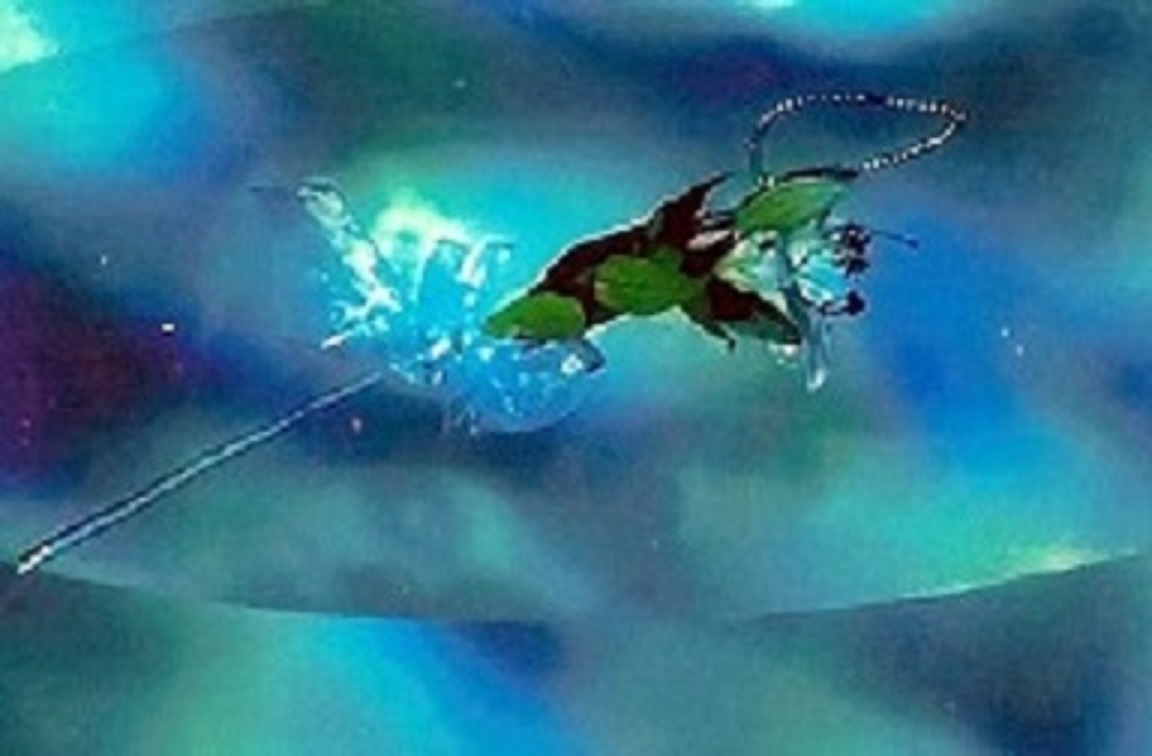 STRING 29.jpg